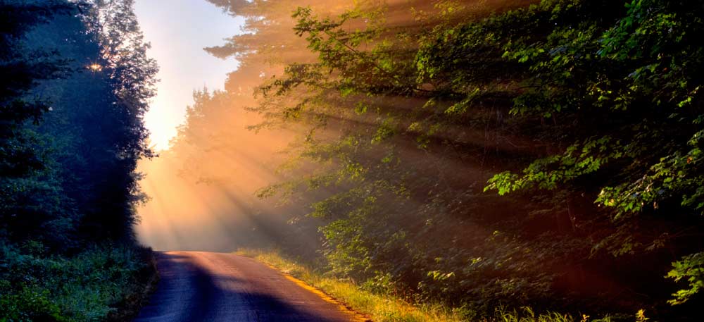 We have the answers to guide your path.