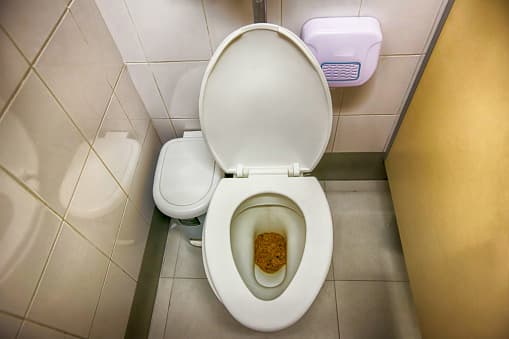 Tips for Homeowners to Prevent Sewage Backup